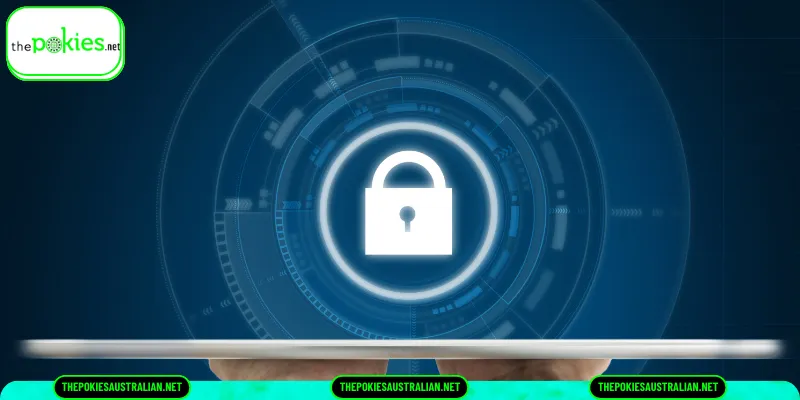 Overview of the Privacy Policy at The Pokies